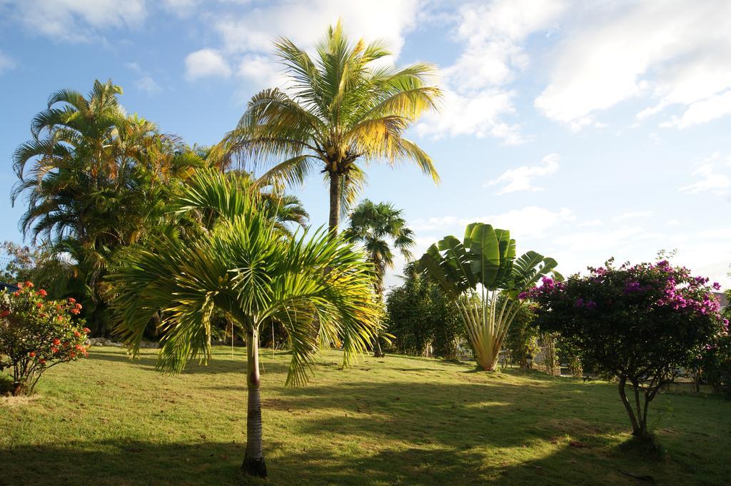 Résidence Anamanga Sainte-Anne  Exterior foto